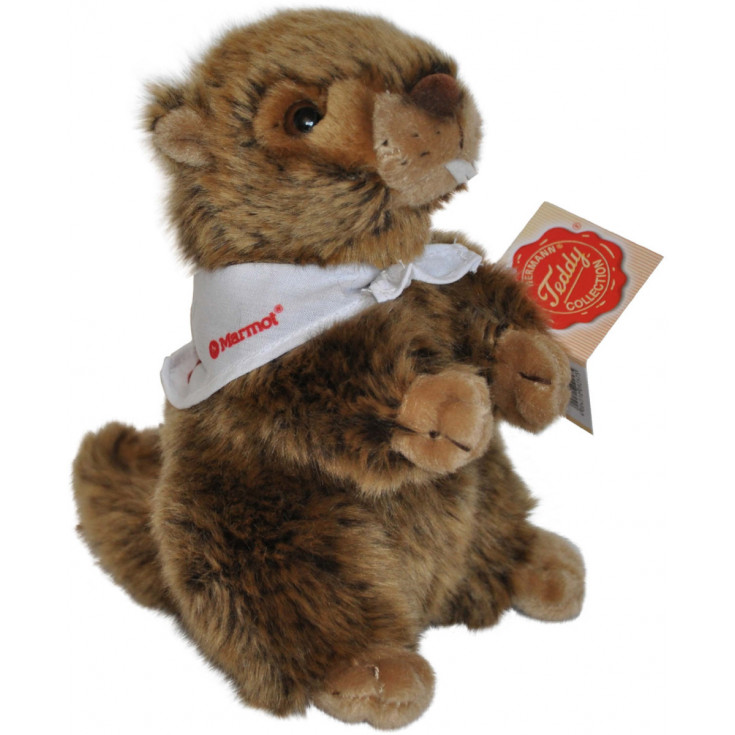 peluche marmotte