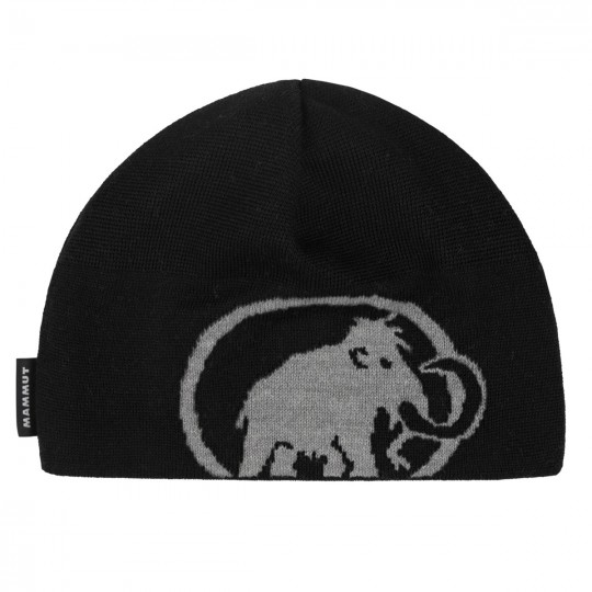 Bonnet TWEAK LOGO BEANIE black-steel Mammut 2024