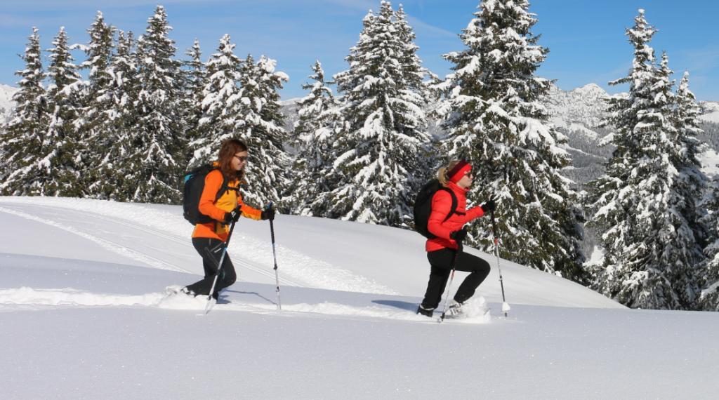 Balade en raquettes à neige